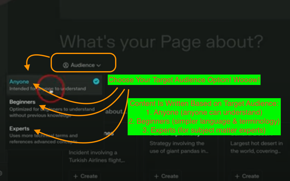 option of crafting the content based on choosing the target audience in perplexity pages